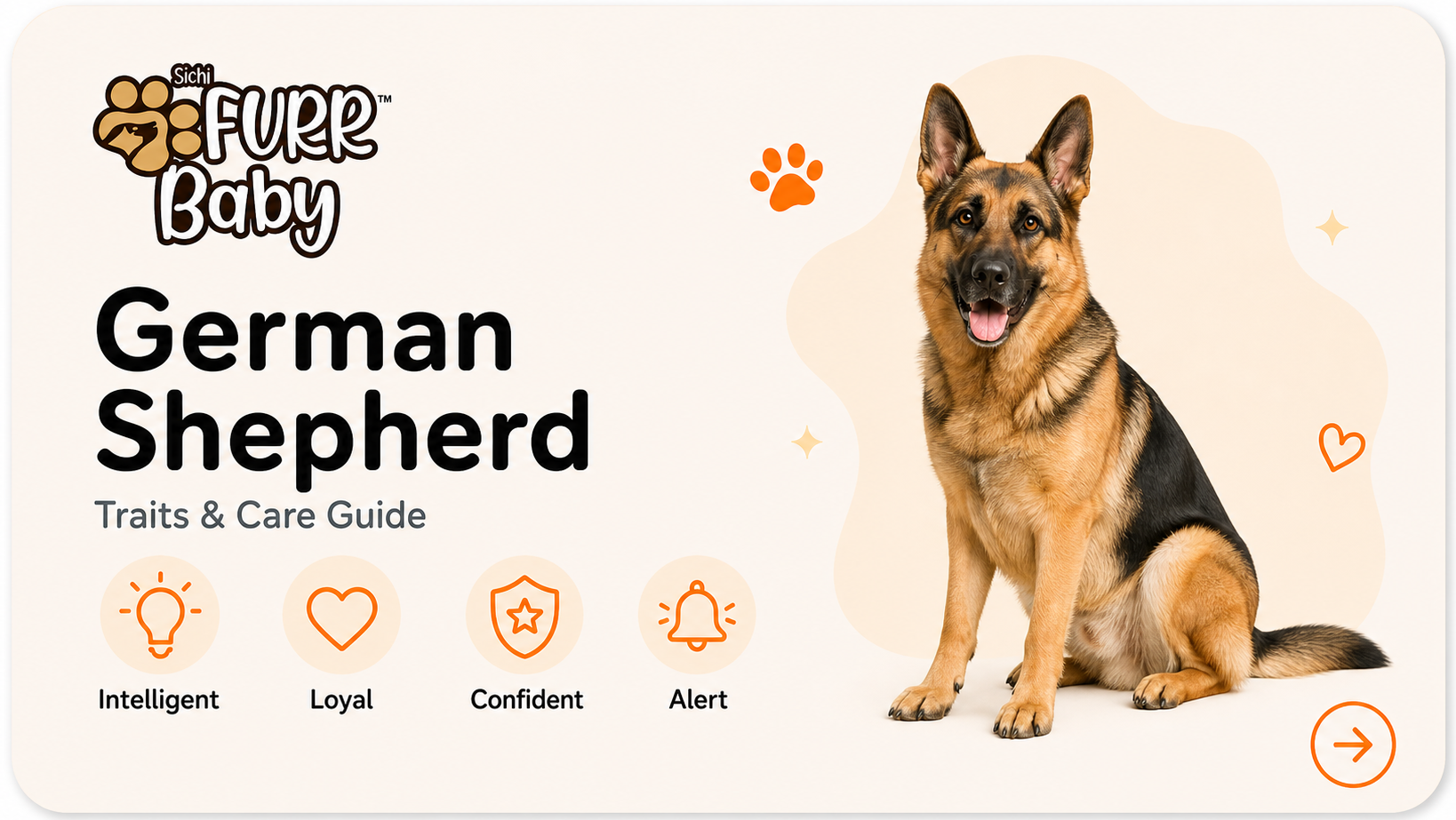 German Shepherd breed card