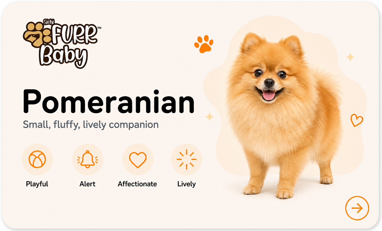 Pomeranian breed card