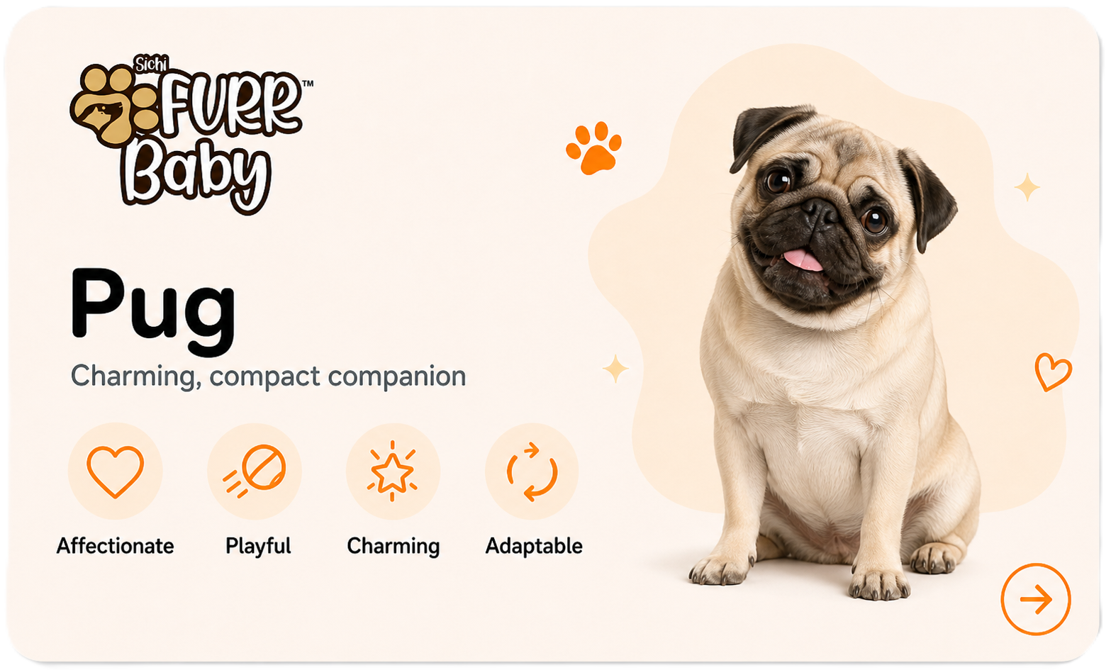 Pug breed card
