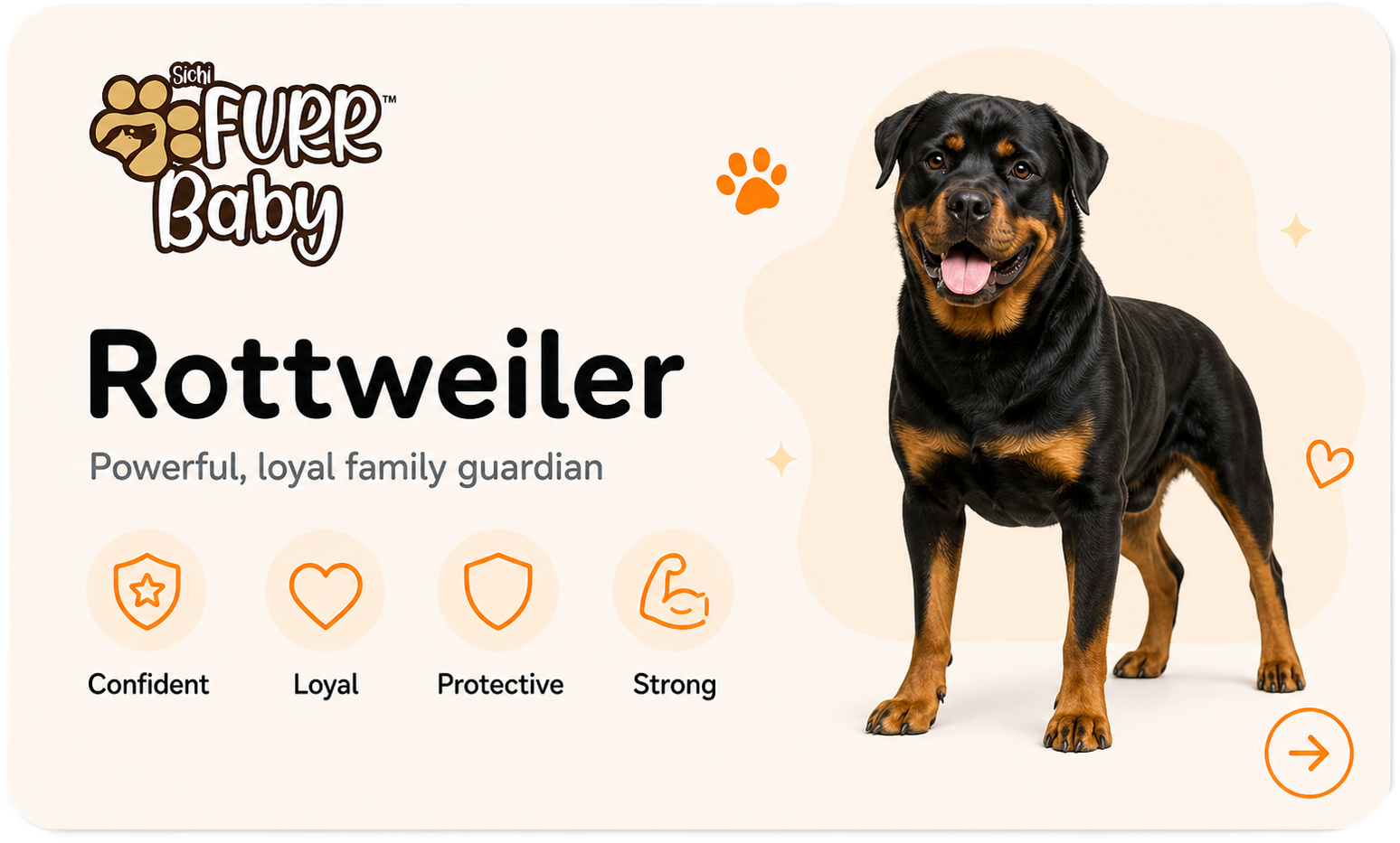 Rottweiler breed card