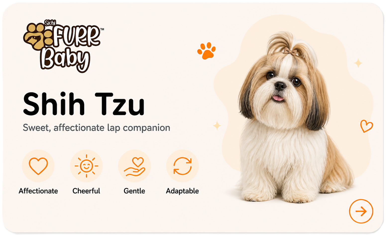 Shih Tzu breed card